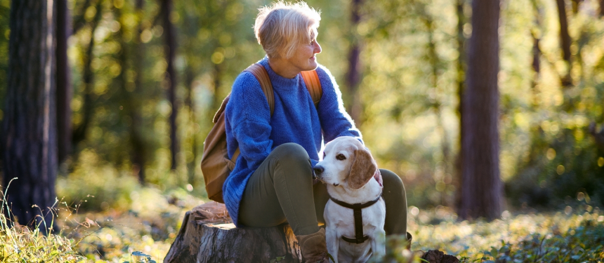 Metis Homes Our Developments Forest Edge, Fordingbridge
